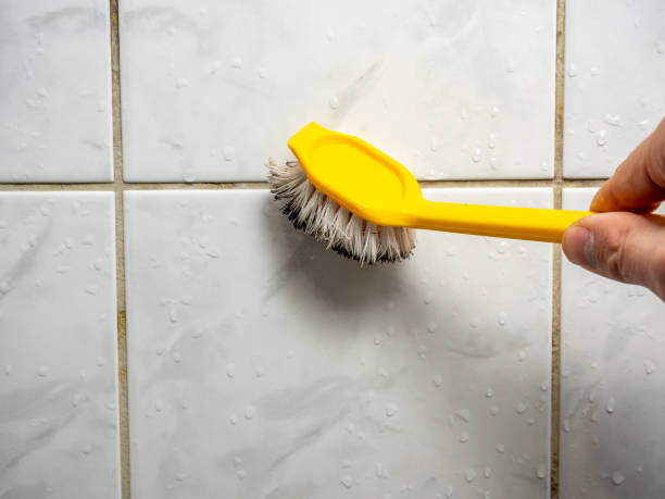 Best Certified Mold Removal  in Gulf Hills, MS