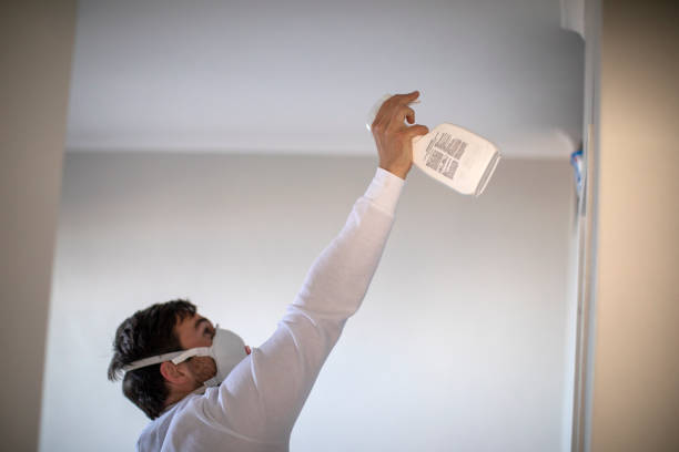 Best Affordable Mold Removal  in Gulf Hills, MS