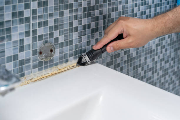 Best Same-Day Mold Removal  in Gulf Hills, MS